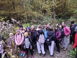 56518975512824069636872495490159716258196025n